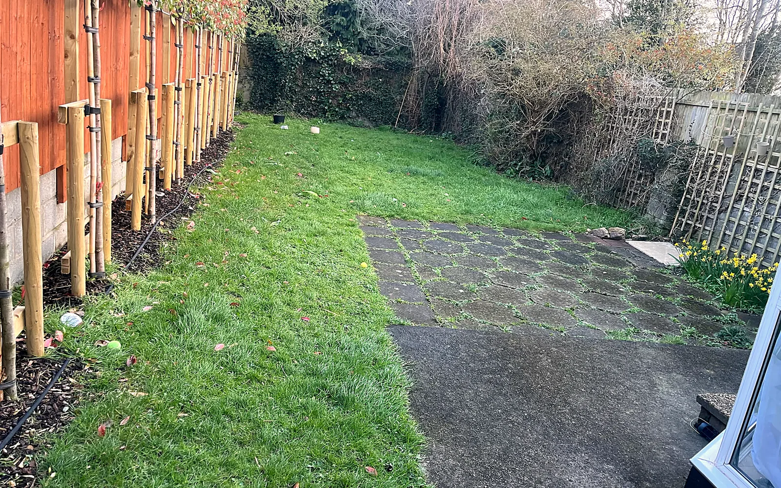 Egyptian Limestone Patio & New Lawn, Clonskeagh - before