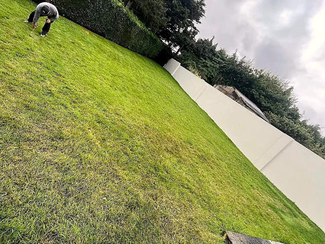 Porcelain Paving, Lawn & Corten Steel, Dundrum