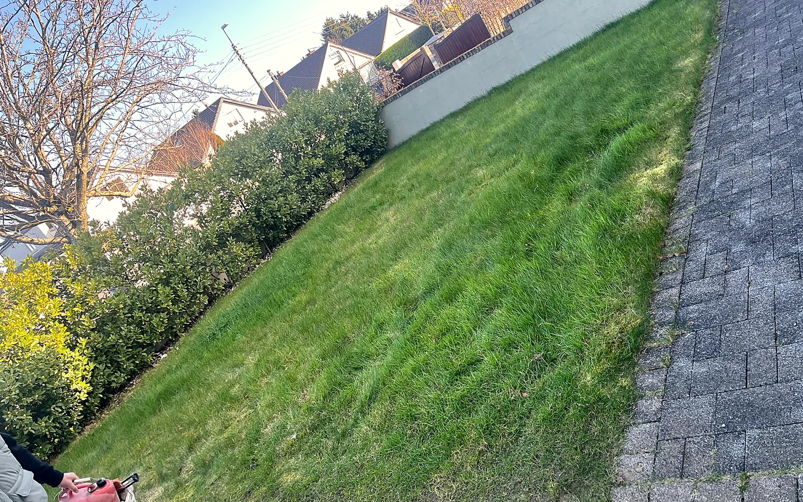 Sunken Trampoline & New Lawn, Killiney - before