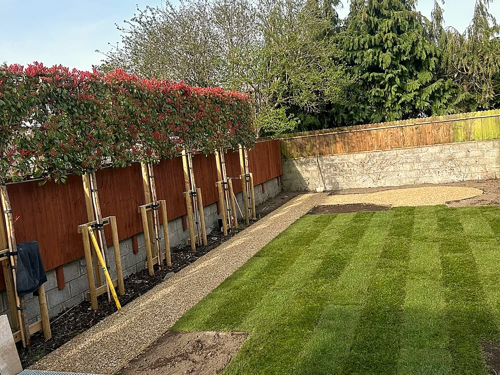 Limestone paving at the rear of a home