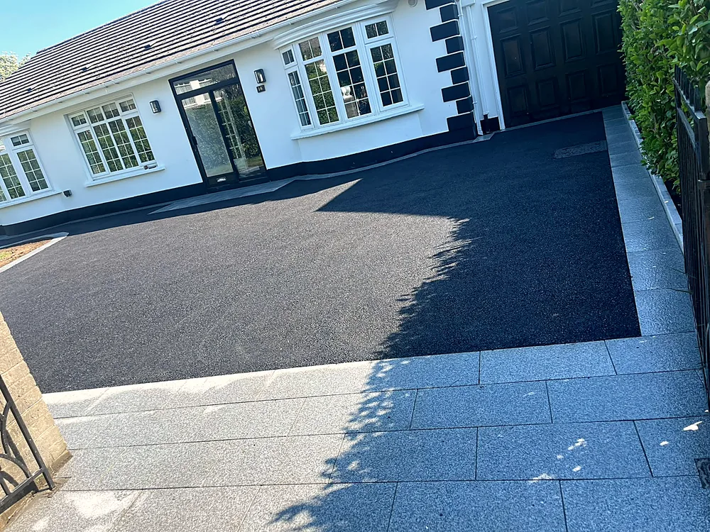 Tarmac driveway with palm