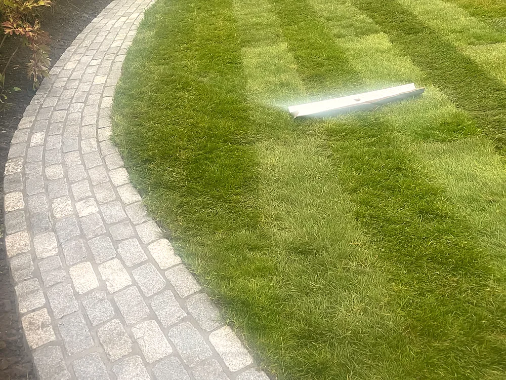 Granite cobble pathway through a lawn, Bray